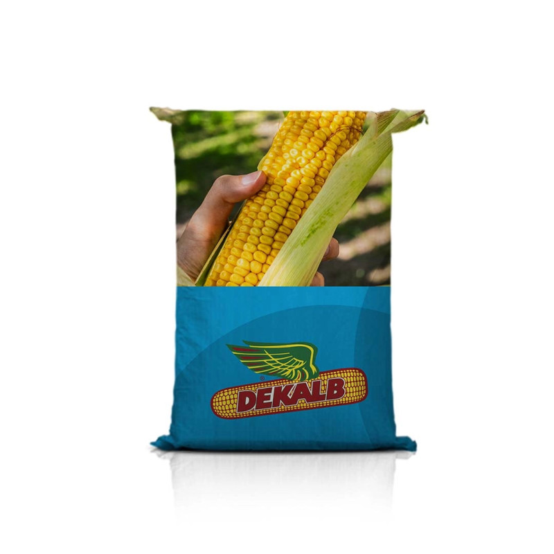 Kukurydza DKC 3201 C1