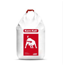 Korn-Kali 38