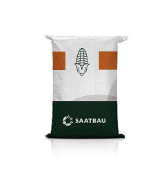 Kukurydza LEONIDO Opti Plus C1 – kwalifikowane nasiona na kiszonkę i ziarno, FAO 270, wysoki plon SM, silny stay-green – Hotfarm