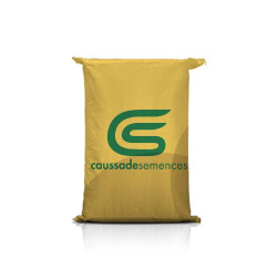 FRIENDLI CS FAO 220 – kwalifikowane nasiona kukurydzy na ziarno, kiszonkę i grys, szybkie dosychanie i kolby flex – Hotfarm