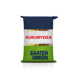 Kukurydza KORYNT C1