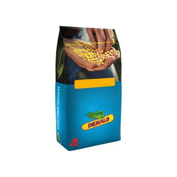 Kukurydza DKC 3418 C1 Kukurydza DKC 3418 C1