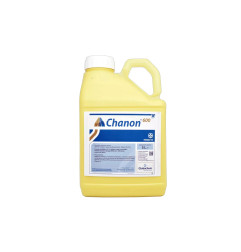 Chanon 600