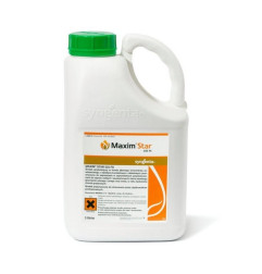 Zaprawa Maxim Star 025 FS