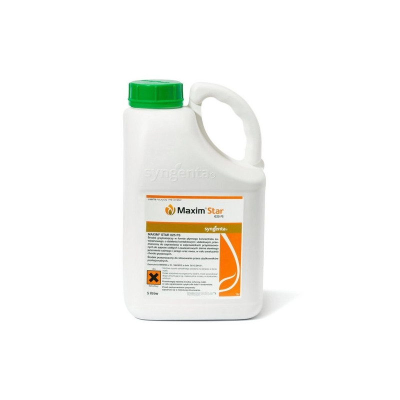 Zaprawa Maxim Star 025 FS