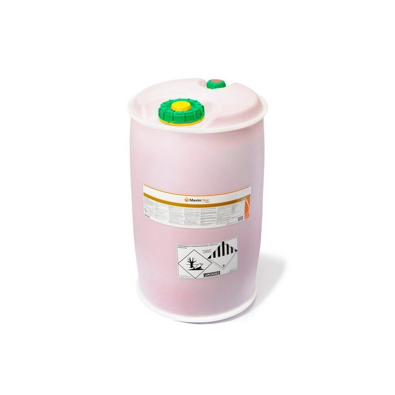 Zaprawa Maxim Star 025 FS Zaprawa Maxim Star 025 FS