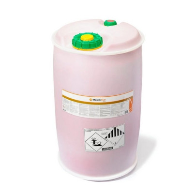 Zaprawa Maxim Star 025 FS