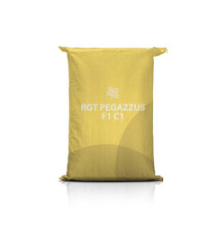 Rzepak ozimy RGT PEGAZZUS F1 C1