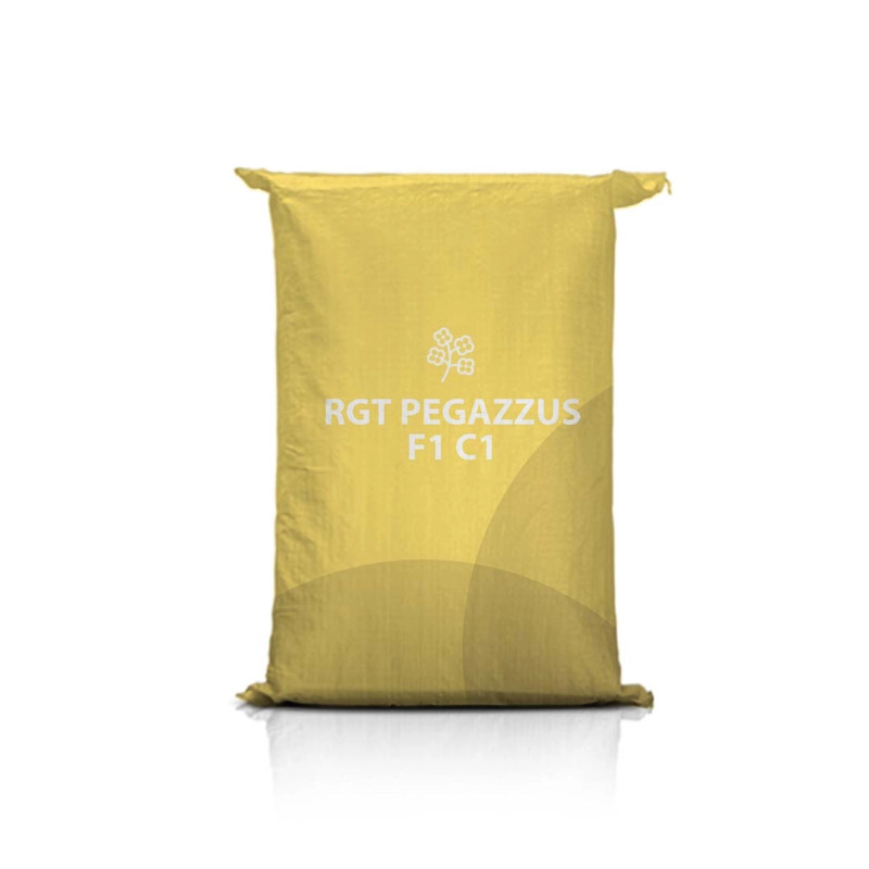 Rzepak ozimy RGT PEGAZZUS F1 C1 Rzepak ozimy RGT PEGAZZUS F1 C1