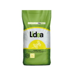 Rzepak ozimy ES CAPELLO F1 C1