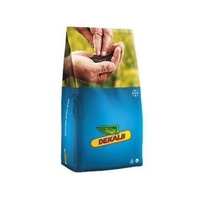 Rzepak ozimy DK SEPHOR F1 C1