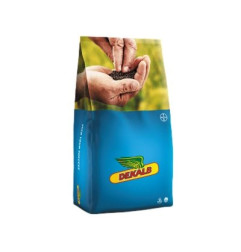 Rzepak ozimy DK PLASMA F1 C1