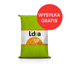 Nasiona kukurydzy ES SKYTOWER C1 – kiszonka i biogaz FAO 250–260