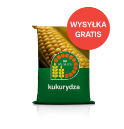 Nasiona kukurydzy SM BARD C1 – na kiszonkę FAO 250–260