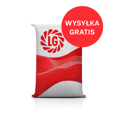 Nasiona kukurydzy ASHLEY C1 FAO 220 – wczesna na ziarno