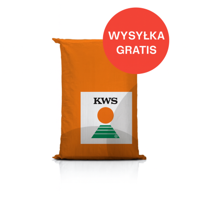 Nasiona kukurydzy KWS EXCEPTIO C1 FAO 270 – na ziarno