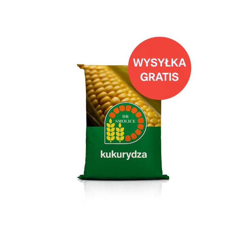 Nasiona kukurydzy SM Polonia FAO 200–210 – na ziarno i kiszonkę