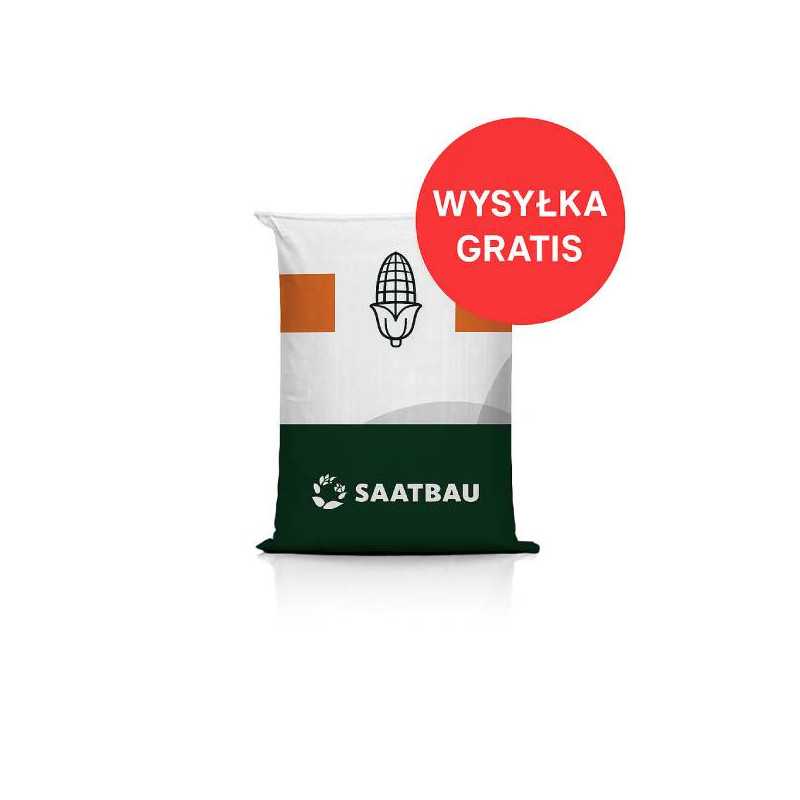 LEONIDO Opti Plus C1 – nasiona kukurydzy na kiszonkę