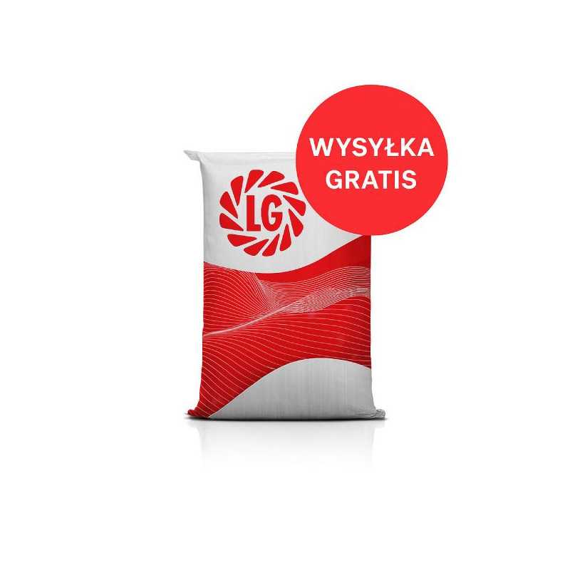 Nasiona kukurydzy Clementeen C1 FAO 290 – kiszonka, biogaz