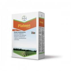 Plateen 41,5 WG