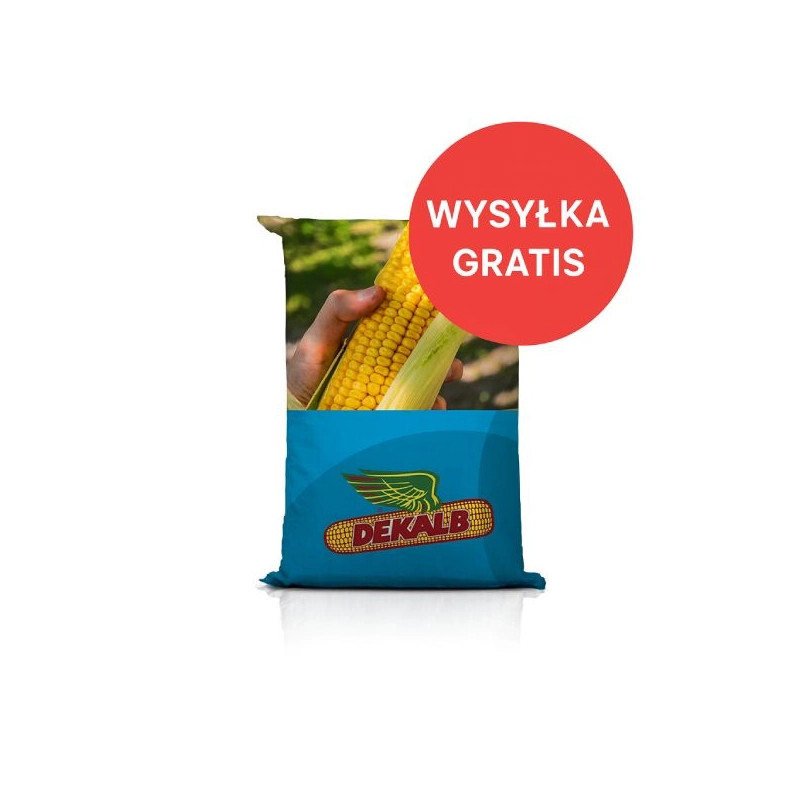 Kukurydza DKC 3719 C1