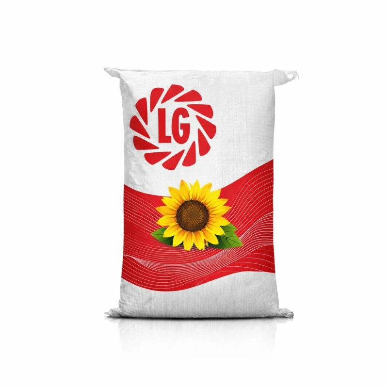 Słonecznik LG 50.479 SX F1 C1