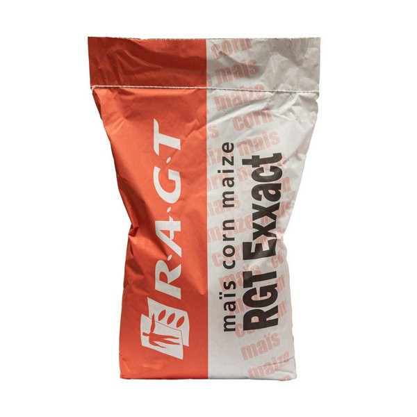 Kukurydza RGT EXXACT C1 Kukurydza RGT EXXACT C1