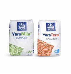 Efekt odżywienia roślin nawozem YaraMila Complex i wzmocnienia tkanek saletrą wapniową Calcinit