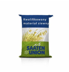 Owies jary Lion – wysoka masa hektolitra, niska łuska, wysoki plon