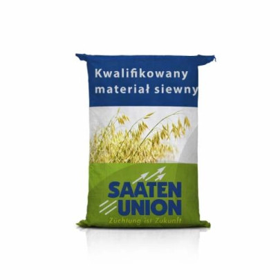 Owies jary Lion – wysoka masa hektolitra, niska łuska, wysoki plon