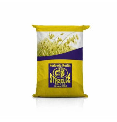 Owies jary Poker C1 – żółtoziarnisty, rekordowy plon 6,1 t/ha