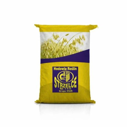 Owies jary Rambo C1 – wczesny, plenny, wysoka zawartość tłuszczu