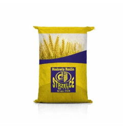 Pszenżyto jare HUGO C1 – lider plonowania, wysoka MTZ, odporne na choroby