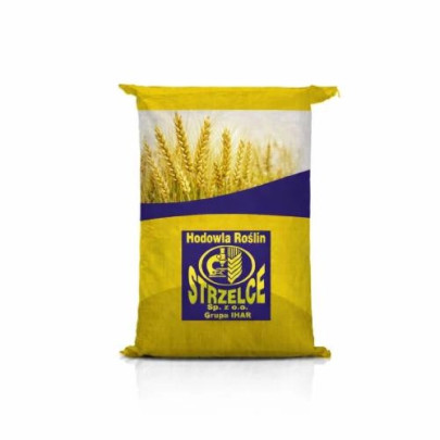 Pszenżyto jare HUGO C1 – lider plonowania, wysoka MTZ, odporne na choroby