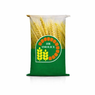 Żyto jare SM FOBOS – gęsty, zdrowy łan o bardzo wysokim plonie, dużej MTZ oraz dobrej odporności na wyleganie i choroby