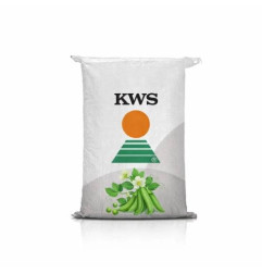 Groch siewny Kameleon - kwalifikowany materiał siewny nasiona grochu jarego rekordowy plon 108%