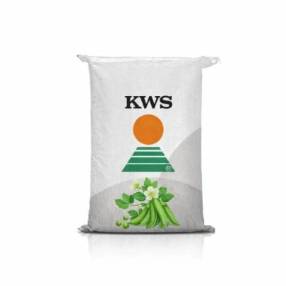 Groch siewny Kameleon - kwalifikowany materiał siewny nasiona grochu jarego rekordowy plon 108%