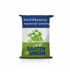 Nasiona grochu siewnego Ostinato C1 materiał siewny kwalifikowany żółtonasienny odporny na wyleganie Hotfarm