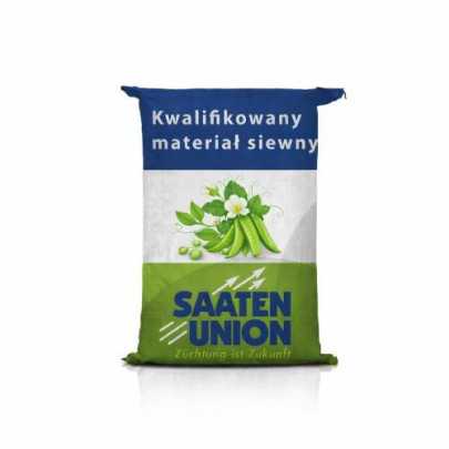 Nasiona grochu siewnego Ostinato C1 materiał siewny kwalifikowany żółtonasienny odporny na wyleganie Hotfarm