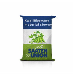 Groch siewny OSTINATO C1