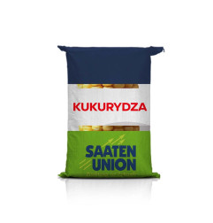 Kukurydza SUCORN C1