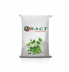 Groch siewny ASTRONAUTE C1