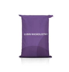 Łubin AGAT kwalifikowany materiał siewny o wysokim plonowaniu