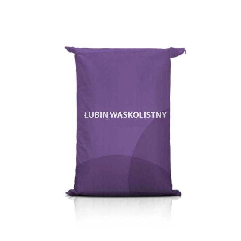 Łubin wąskolistny Agat C1