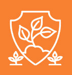 Do regeneracji po uszkodzeniach i zimie