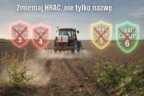 Odporność chwastów? Zatrzymaj ją dzięki HRAC i mądrej rotacji herbicydów