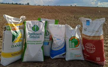 Siew zbóż ozimych: jęczmień i pszenica – poradnik agrotechniczny Hotfarm