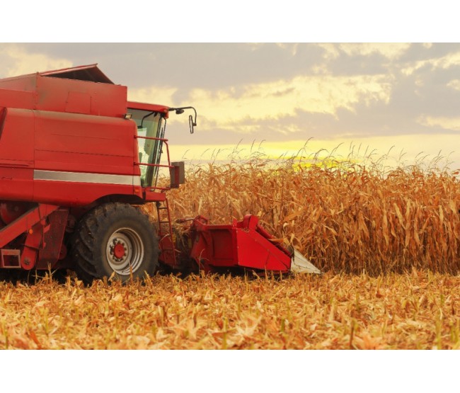 B-360 od Bayer: Biologiczna rewolucja w otoczkowaniu nasion kukurydzy